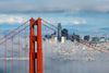 Silicon Valley Experience